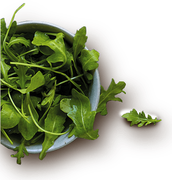 A propos de Délio - salades à tartiner aux saveurs pures et naturelles